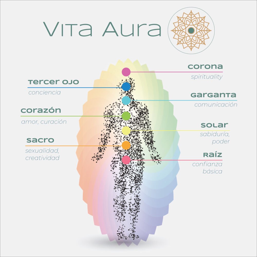 Ilustración de los 7 chakras y sus puntos de concentración, símbolos de equilibrio y bienestar en el blog holístico de VitaAura.